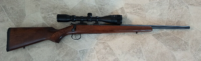 CZ mod american