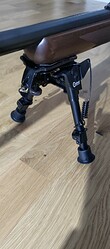 P_20260503_184616