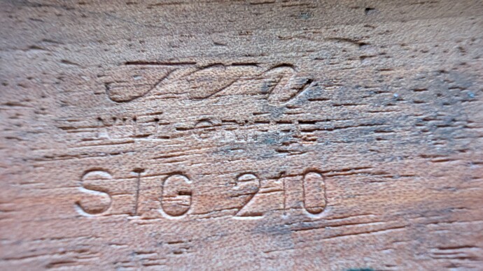 PXL_20241221_200508157