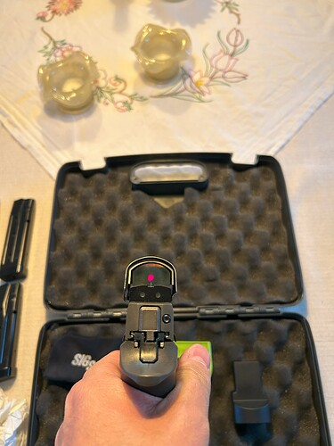 bakifrångenomsiktet